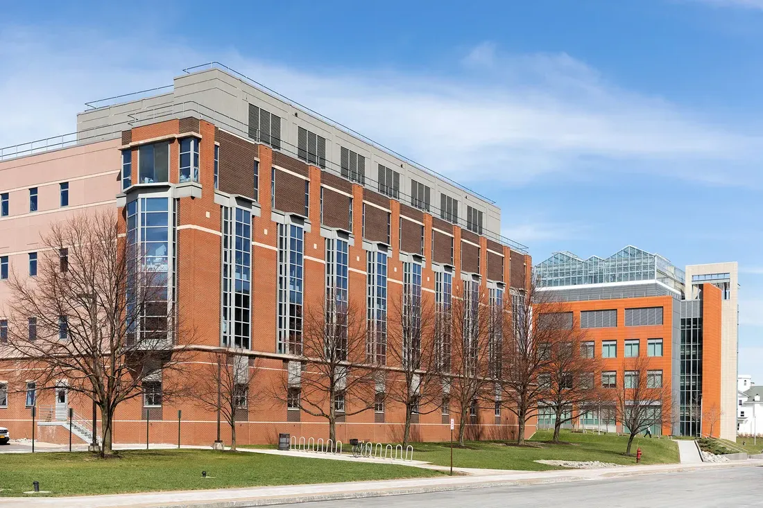 Campus scenery in the summer.